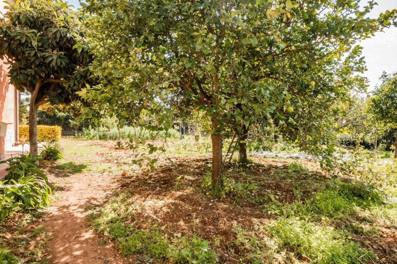 Villa Rosa Near The Sandy Beach, Parking & Wifi Noto Bagian luar foto